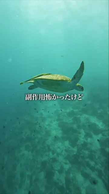 旅行の制作事例