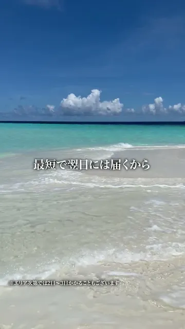 旅行の制作事例